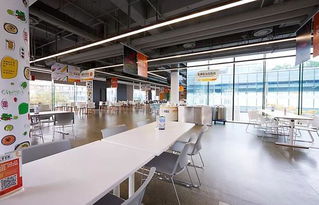 揭秘互聯網巨頭食堂 從京東美食城到網易豬廠，不止是員工福利